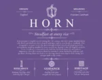 Horn surname meaning origin and heritage in Purple