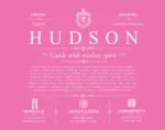 Hudson surname history and heritage in Pink Hudson surname history and heritage in Pink