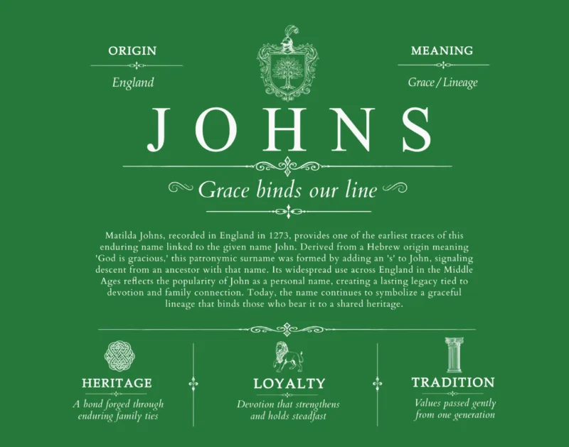 Johns surname meaning and heritage in Dark Green