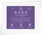 Kerr surname history and family heritage in Purple with White Matte Frame