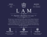 Lam surname meaning and heritage in Navy Blue Lam surname meaning and heritage in Navy Blue