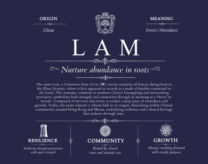 Lam surname meaning and heritage in Navy Blue