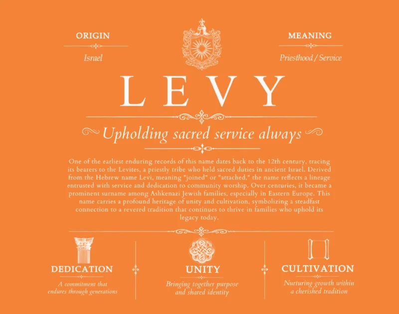 Levy personalized surname meaning in Orange