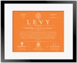 Levy personalized surname meaning in Orange with Black Matte Frame