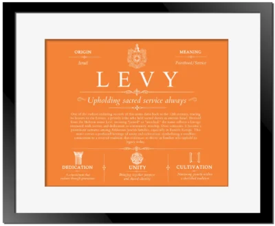 Levy personalized surname meaning in Orange with Black Matte Frame