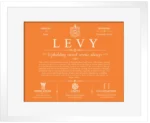 Levy personalized surname meaning in Orange with White Matte Frame