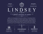 Lindsey last name origin and heritage in Navy Blue