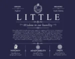 Little family name origin and history in Navy Blue