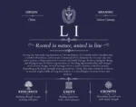 Li surname origin and history in Navy Blue