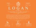 Logan personalized surname meaning in Orange Logan personalized surname meaning in Orange