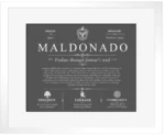 Maldonado surname origin and family heritage in Gray with White Matte Frame