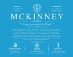 Mckinney surname heritage and history in Blue