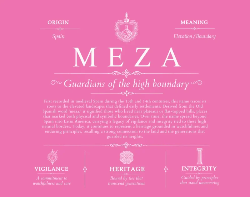Meza family name history in Pink