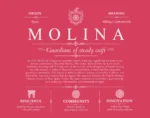 Molina last name history and origin in Red