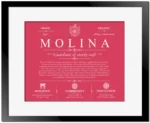 Molina last name history and origin in Red with Black Matte Frame