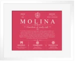 Molina last name history and origin in Red with White Matte Frame