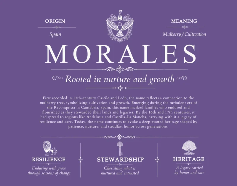 Morales surname meaning and heritage in Purple
