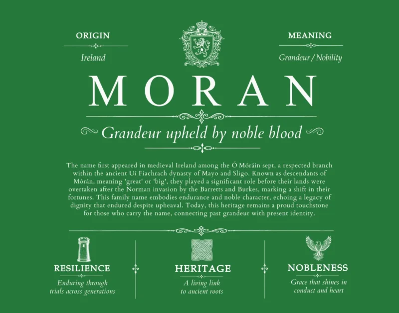 Moran surname meaning origin and heritage in Dark Green
