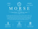 Morse surname origin and history in Blue Morse surname origin and history in Blue