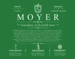Moyer personalized last name meaning in Dark Green