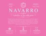 Navarro last name meaning and origin in Pink