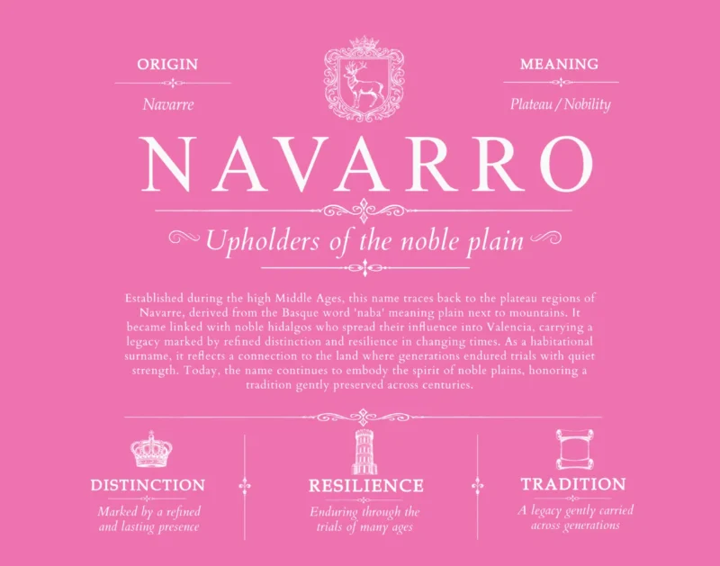 Navarro last name meaning and origin in Pink