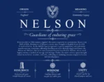 Nelson personalized family surname in Deep Blue Nelson personalized family surname in Deep Blue