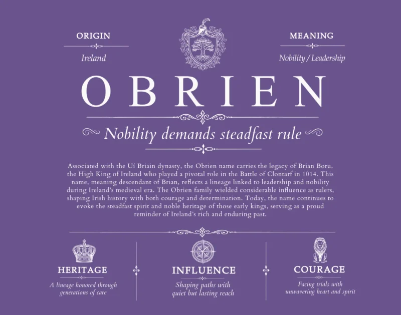 Obrien last name meaning and origin in Purple