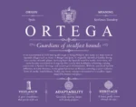 Ortega surname origin and history in Purple