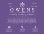 Owens personalized last name meaning in Purple