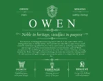 Owen last name meaning and origin in Dark Green Owen last name meaning and origin in Dark Green