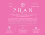 Phan surname origin and family heritage in Pink
