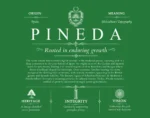 Pineda surname meaning origin and heritage in Dark Green