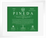 Pineda surname meaning origin and heritage in Dark Green with White Matte Frame