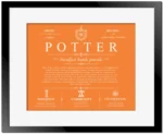 Potter surname heritage and history in Orange with Black Matte Frame