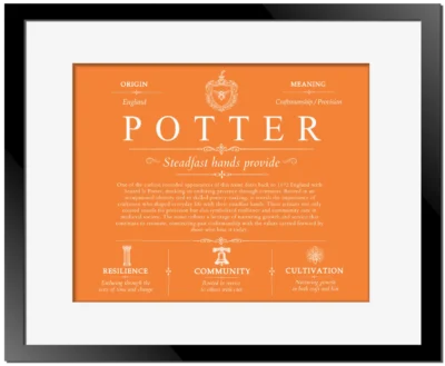 Potter surname heritage and history in Orange with Black Matte Frame