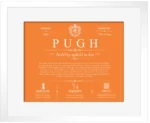 Pugh surname origin and history in Orange with White Matte Frame Pugh surname origin and history in Orange with White Matte Frame