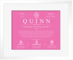 Quinn surname history and family heritage in Pink with White Matte Frame