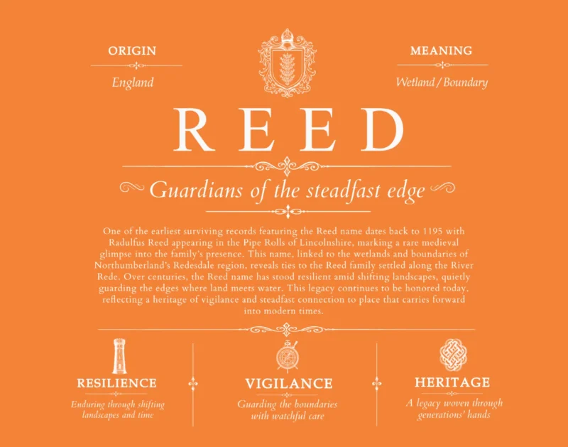 Reed last name origin and heritage in Orange
