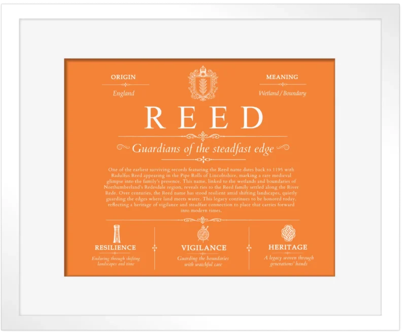 Reed last name origin and heritage in Orange with White Matte Frame