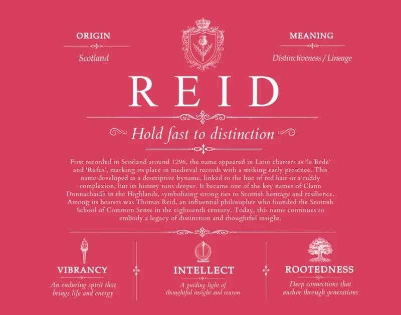 Reid last name meaning and origin in Red