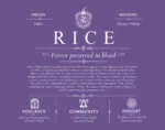Rice last name meaning and origin in Purple
