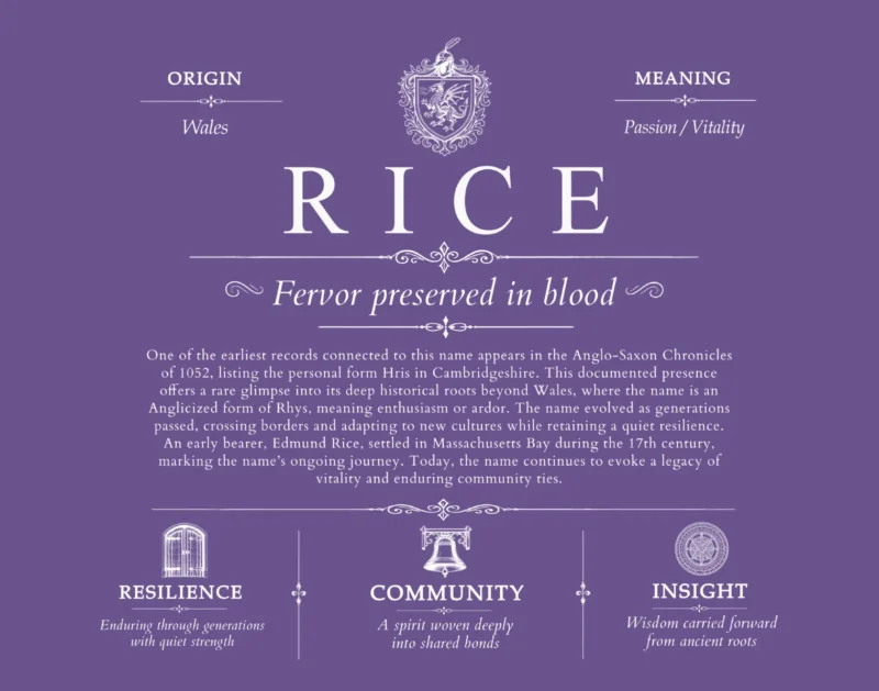 Rice last name meaning and origin in Purple