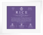 Rice last name meaning and origin in Purple with White Matte Frame