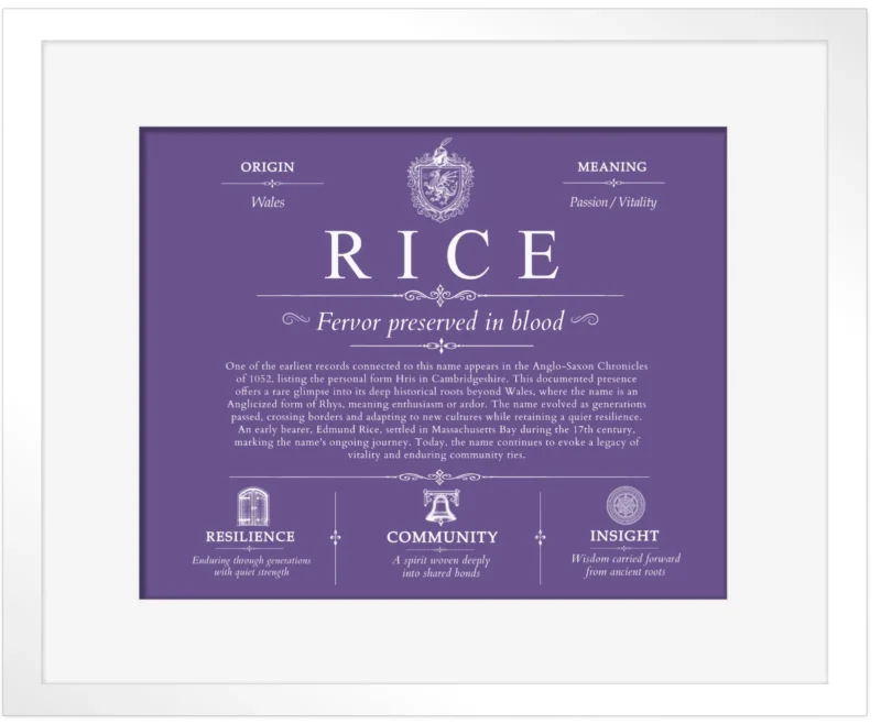 Rice last name meaning and origin in Purple with White Matte Frame