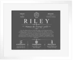 Riley family name heritage in Gray with White Matte Frame Riley family name heritage in Gray with White Matte Frame