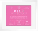 Rios surname origin and family heritage in Pink with White Matte Frame Rios surname origin and family heritage in Pink with White Matte Frame
