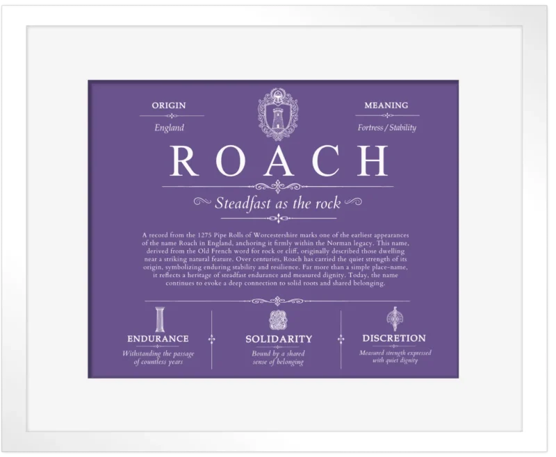 Roach personalized surname meaning in Purple with White Matte Frame