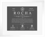 Rocha personalized last name meaning in Gray with White Matte Frame