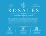 Rosales surname origin and family heritage in Blue